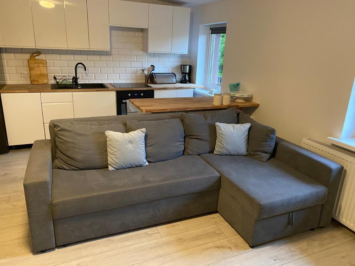 Apartament w malowniczej Sosnówce Sosnówka Zewnętrze zdjęcie